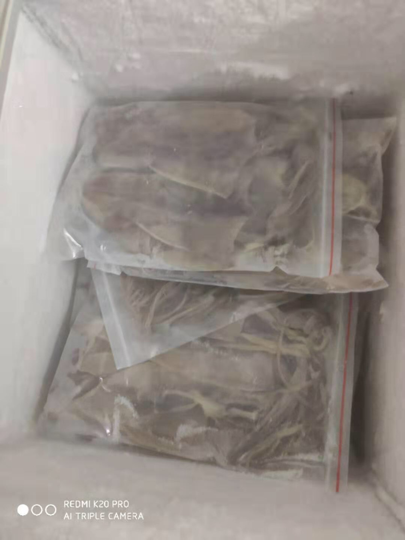本港就船