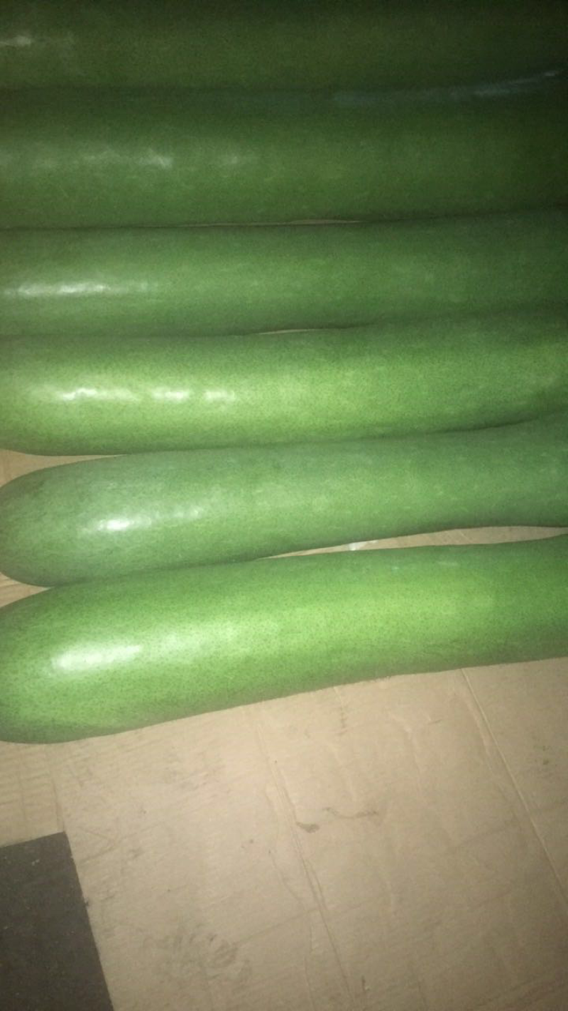冬瓜