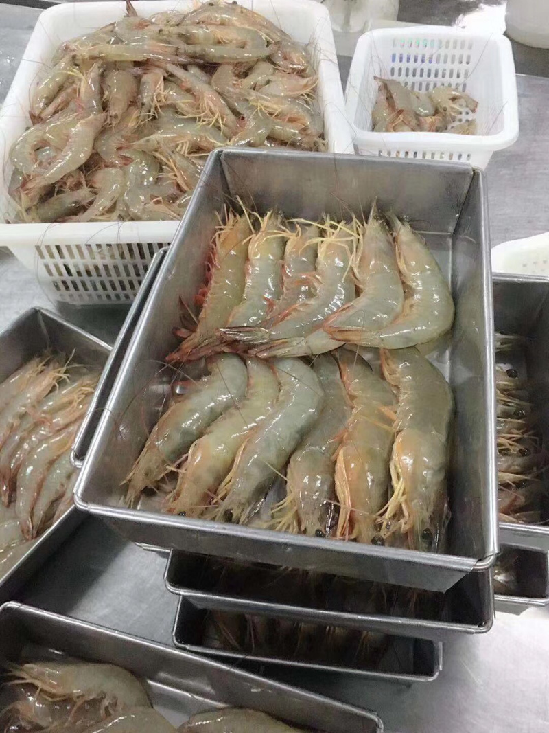 大明虾