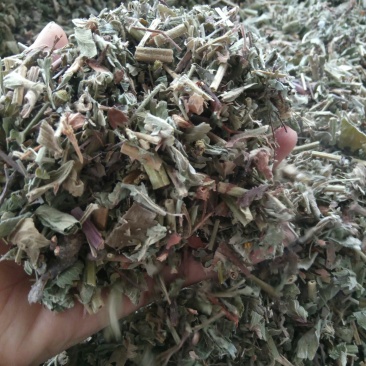 仙鹤草别名龙芽草、脱力草、狼牙草、金顶龙牙、黄龙尾