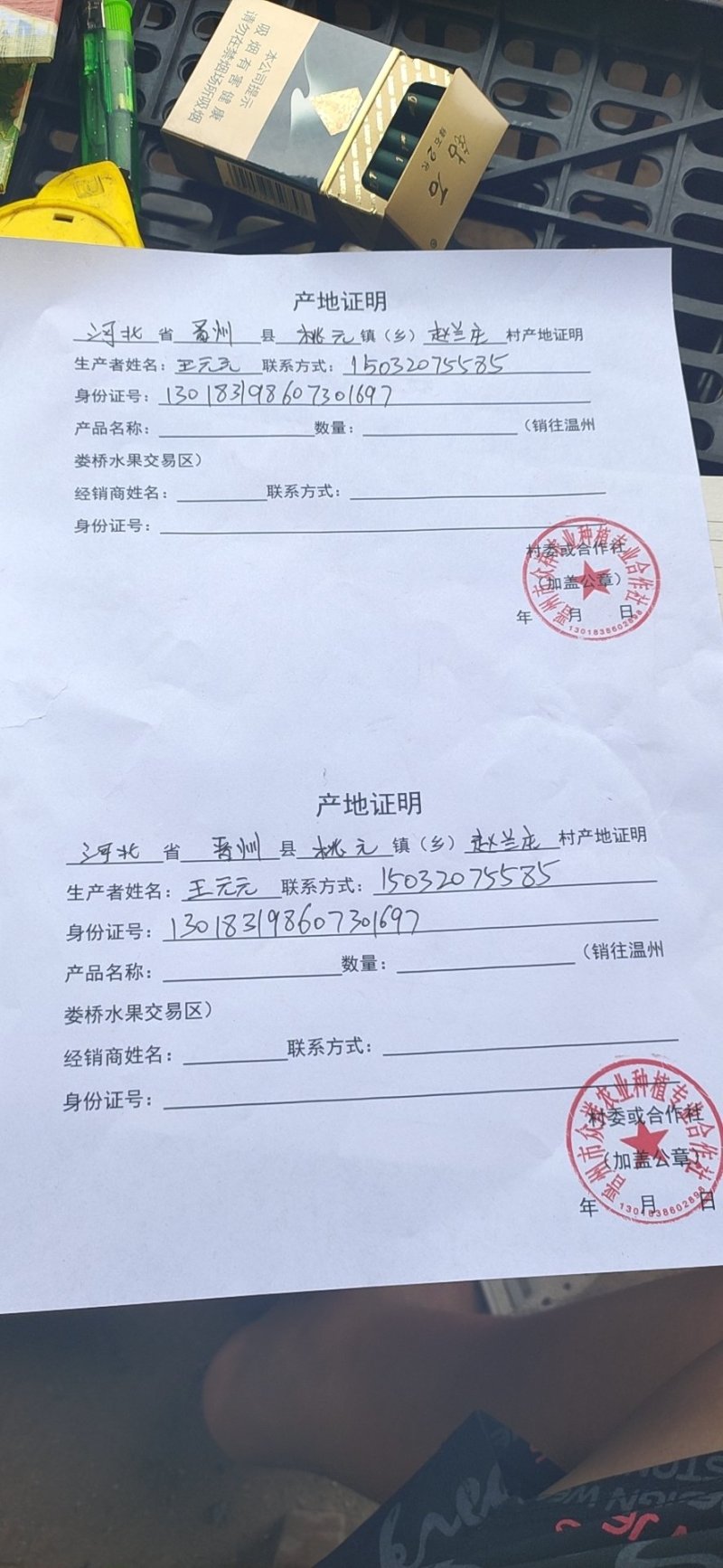【2023梨】皇冠梨，净树皇冠梨，新梨