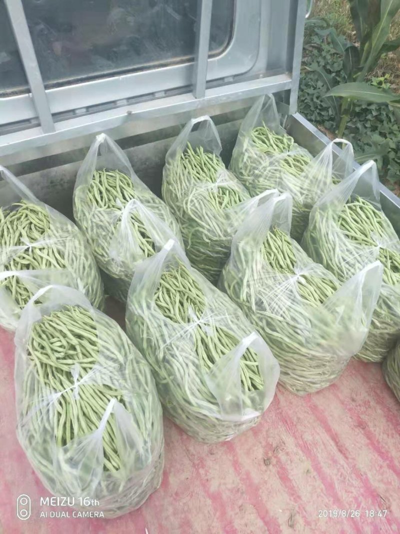 精品无经豆