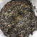 古树茶饼