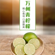 万州青柠檬产地直销支持电商走货［一件代发］量大从优