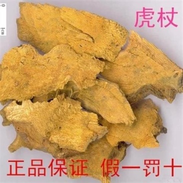 中药材虎仗虎杖根精选野生虎杖虎杖片打虎杖粉