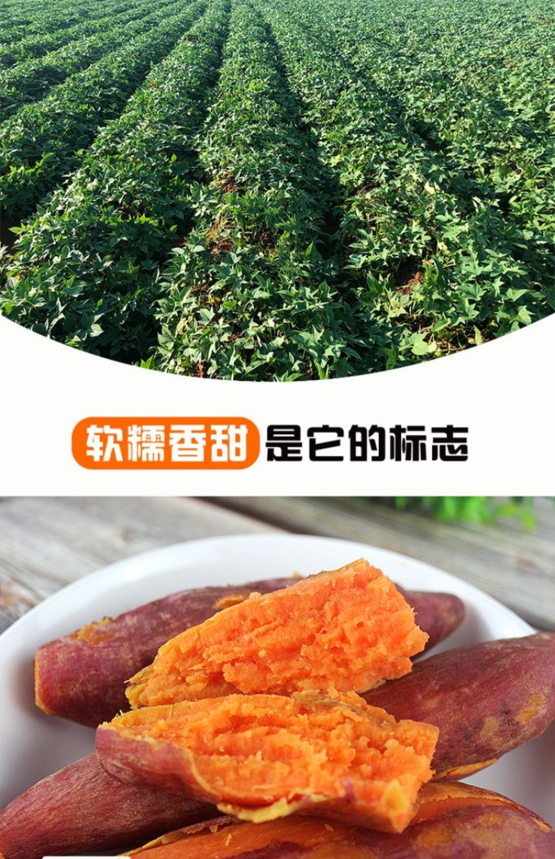 西瓜红