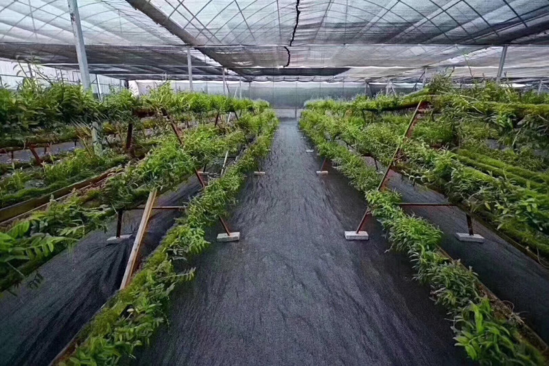 环保型防草布编织袋吨包厂家直销