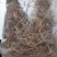 龙胆草龙胆草干中药材农家初选农副产品111