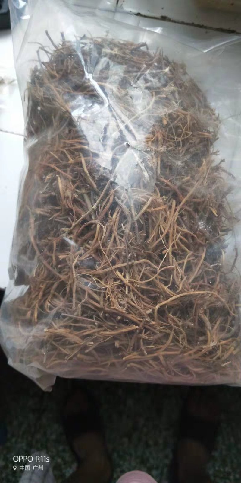 龙胆草龙胆草干中药材农家初选农副产品111