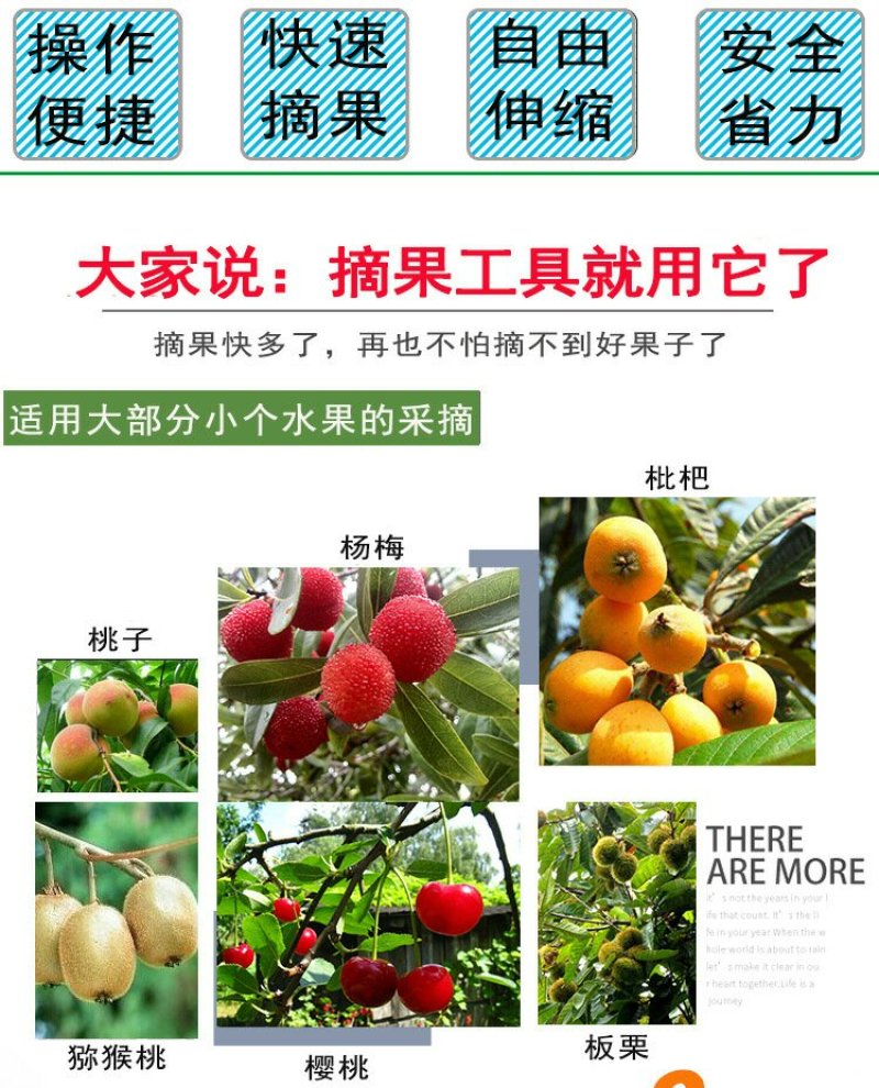 高空摘果器釆摘器手动摘果剪