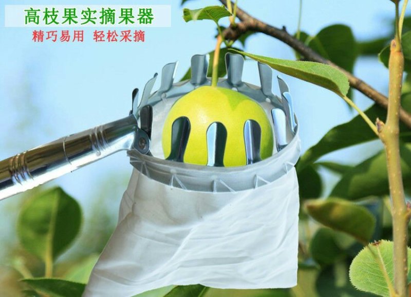 高空摘果器釆摘器手动摘果剪