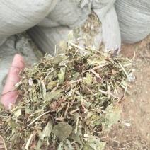 花生秧，一级货，长年大量供应