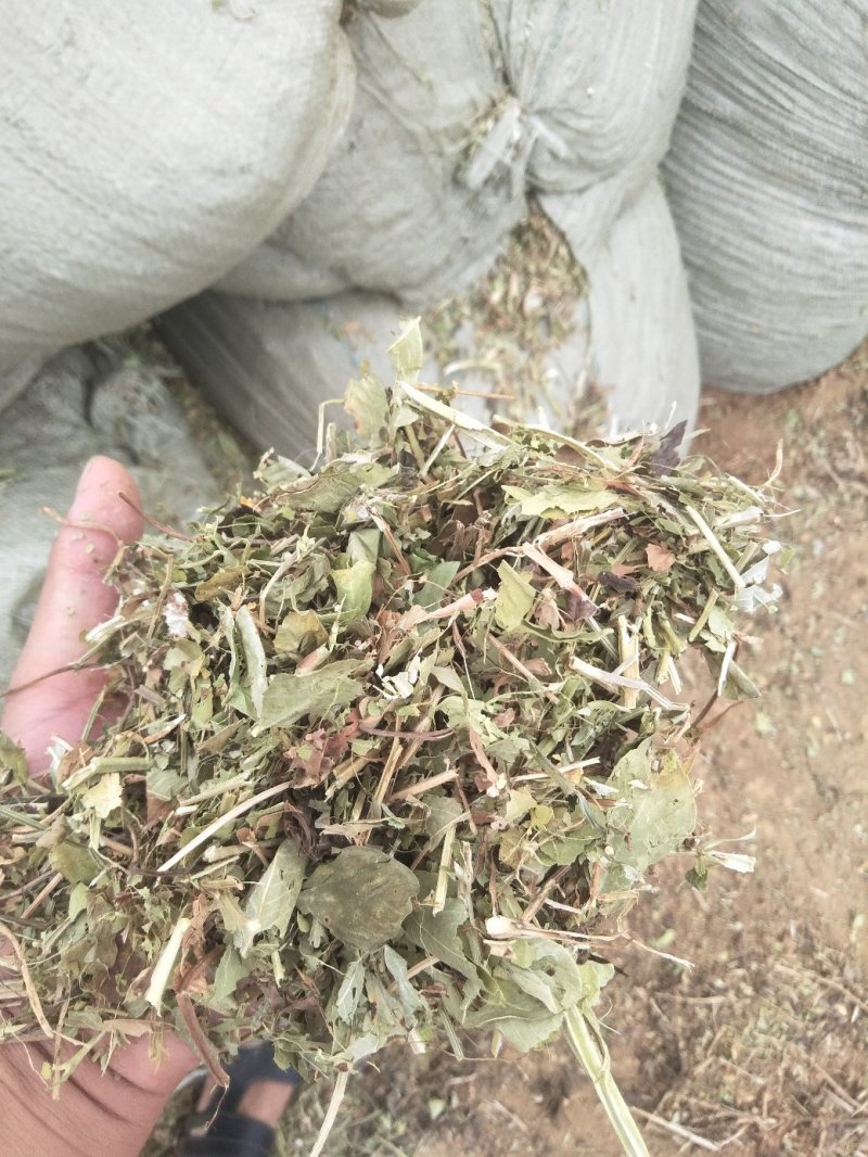花生秧，一级货，长年大量供应