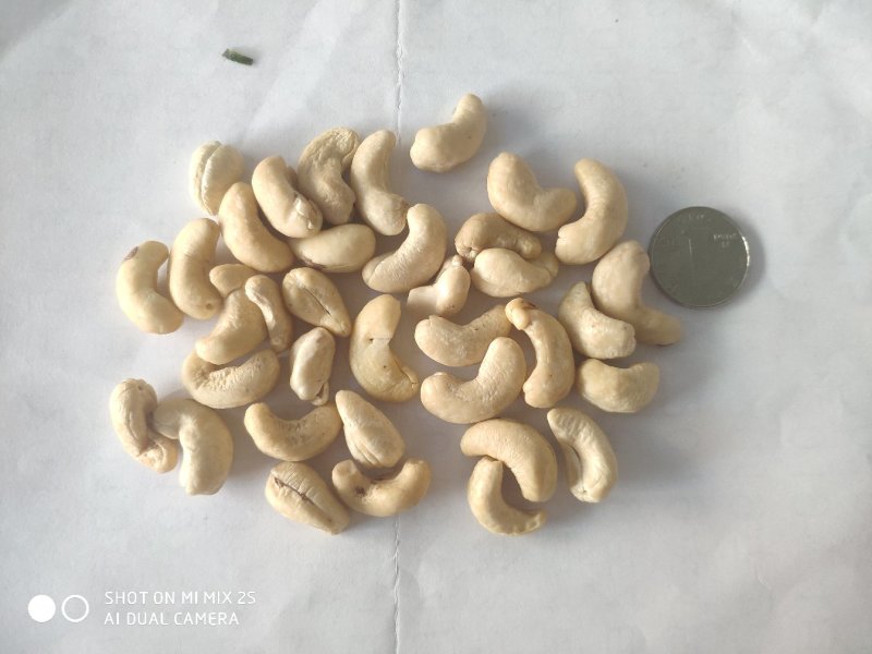 腰果仁，320腰果仁