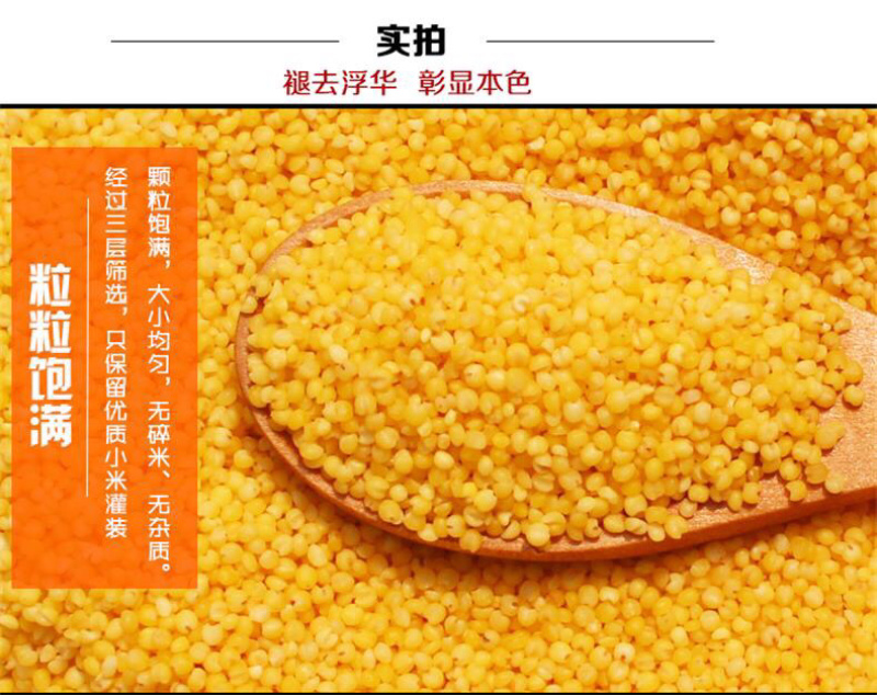 2019新米黄金苗小米孕妇宝宝养胃月子米一件代发