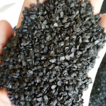 韭菜子正品无硫无添加正品可泡茶泡酒