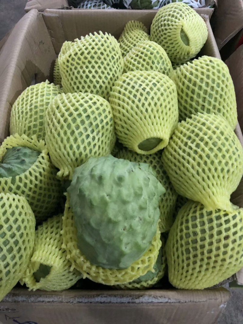 凤梨释迦果大量上市了，基地直发！