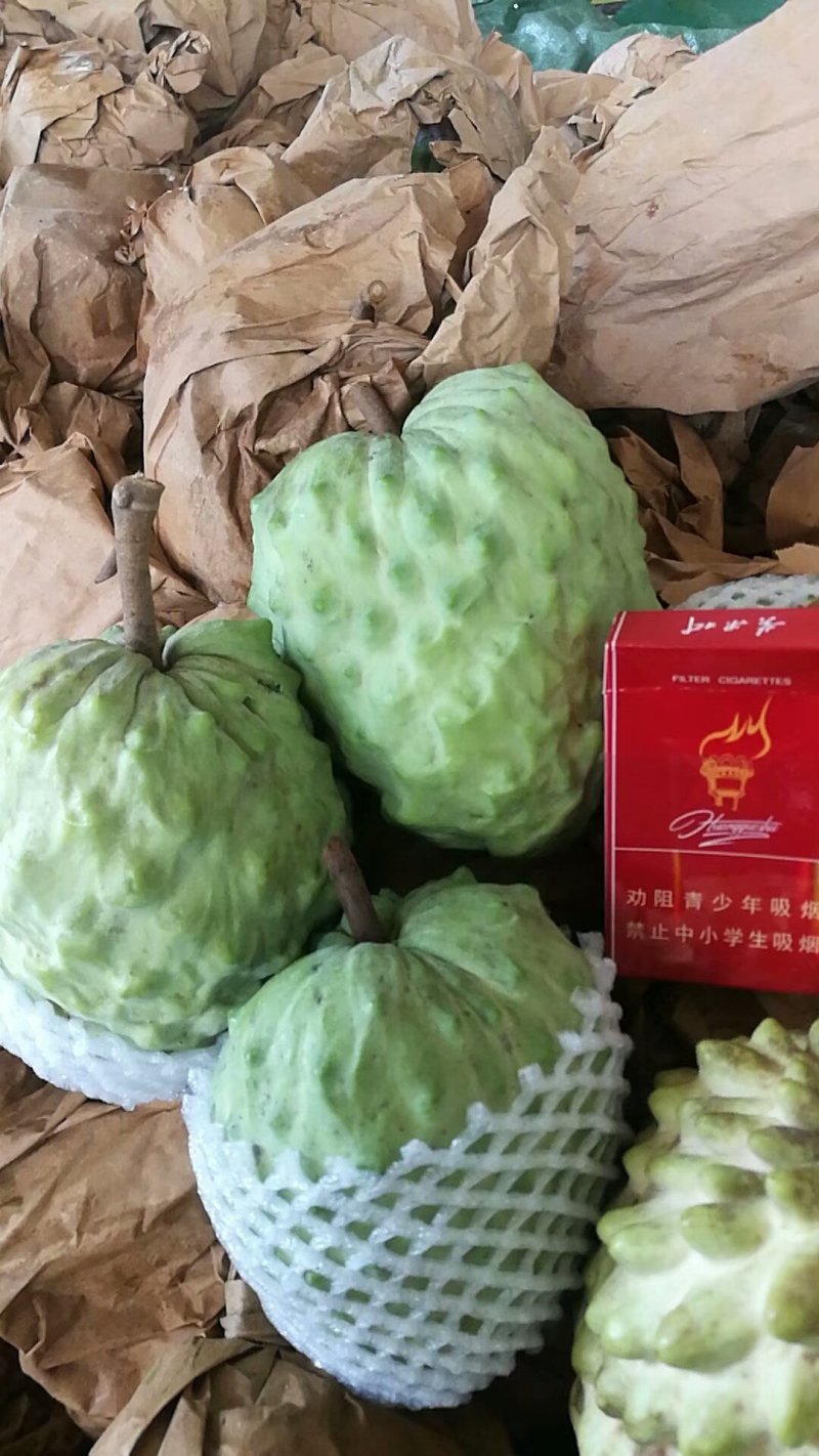 凤梨释迦果大量上市了，基地直发！
