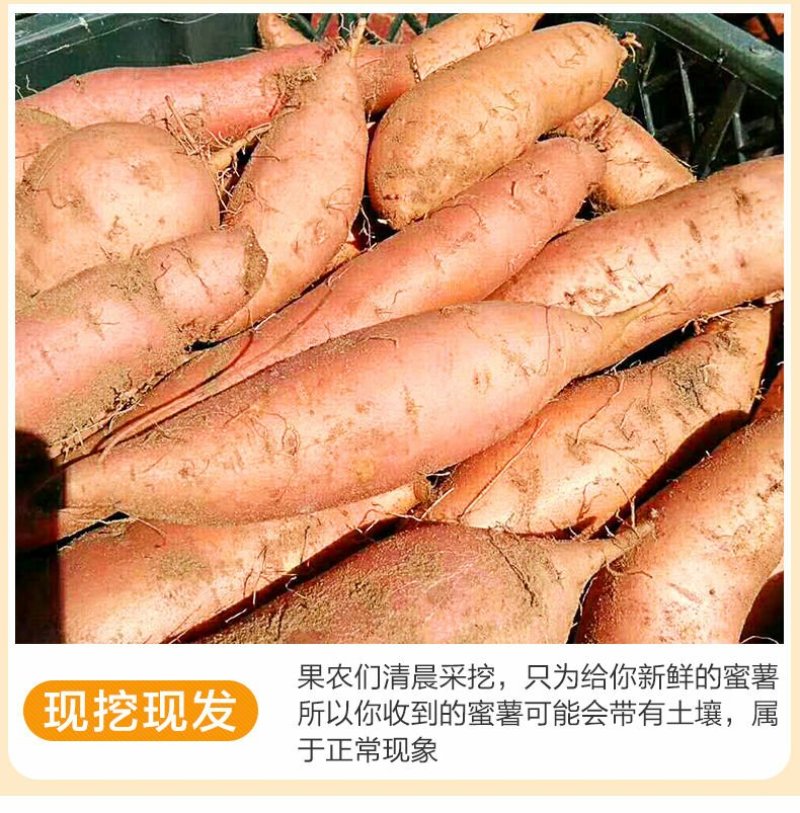 一件代发烟薯25烤地瓜蜜薯番薯
