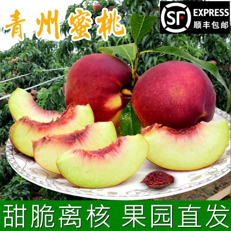 青州蜜秋桃子冬桃山东特产嵩山蜜桃一件代发