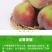 青州蜜秋桃子冬桃山东特产嵩山蜜桃一件代发