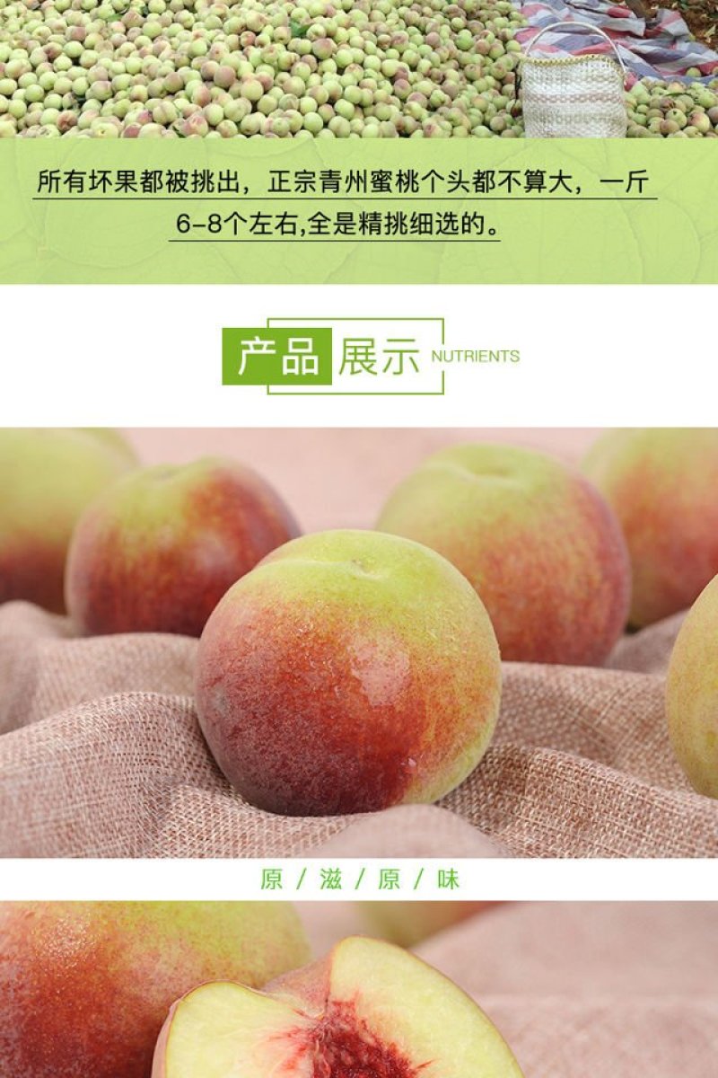 青州蜜秋桃子冬桃山东特产嵩山蜜桃一件代发
