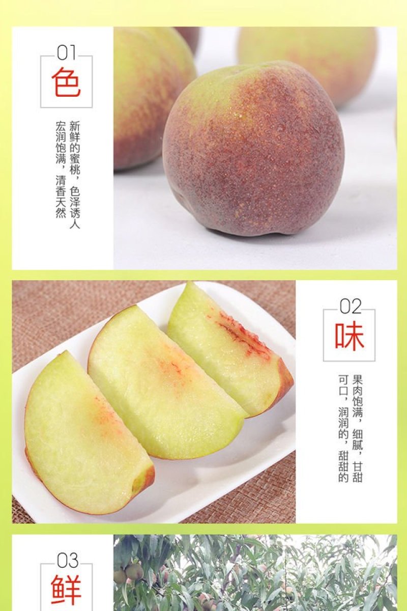 青州蜜秋桃子冬桃山东特产嵩山蜜桃一件代发