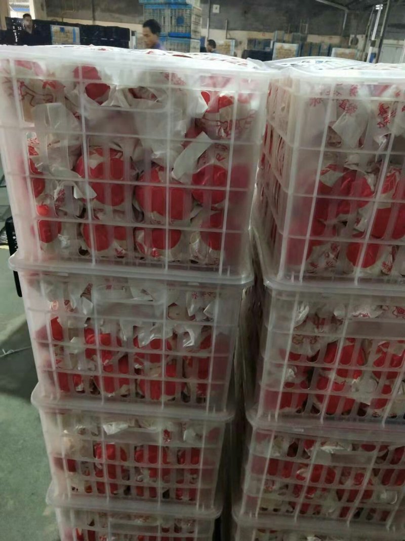 假丑橘、耙耙柑产地批发，鲜果现采，提供加工及包装