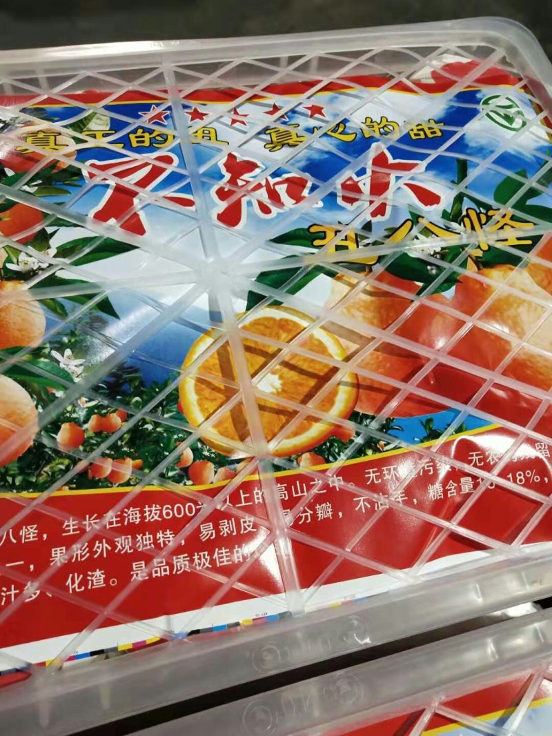 假丑橘、耙耙柑产地批发，鲜果现采，提供加工及包装