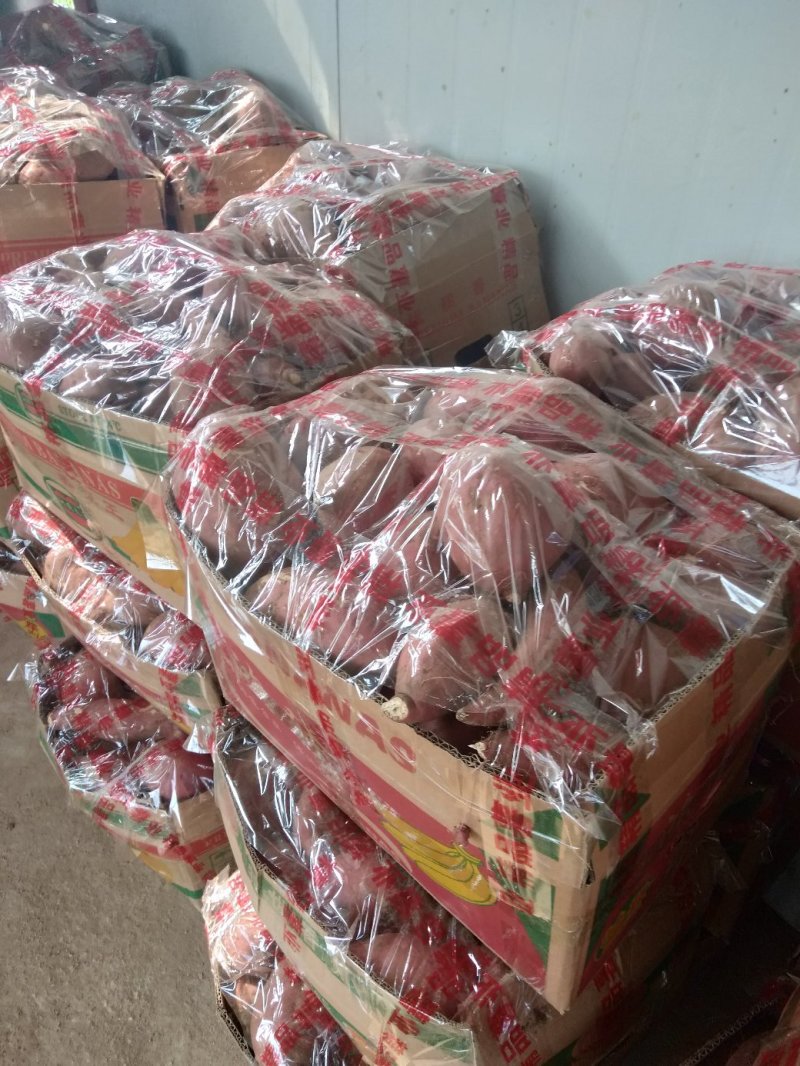 来自唐河岗地红薯，绿色食品