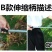 伸缩钢丝耙金属草耙枯叶耙子园艺园林工具