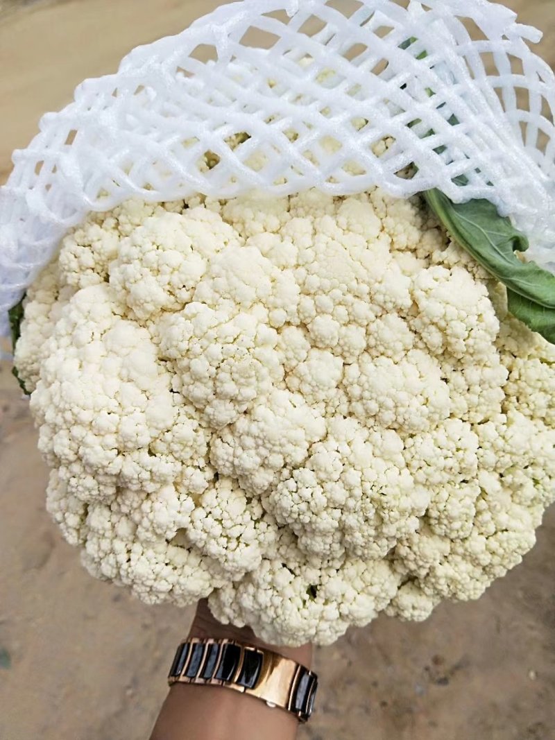 花菜