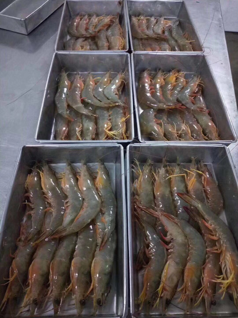 明虾
