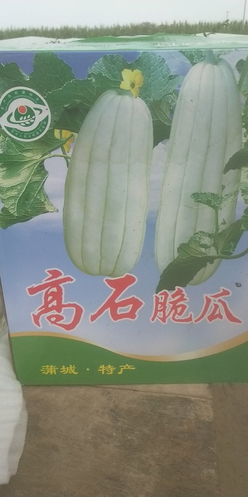 高石瓜如口既化糖度高脆甜欢迎各位