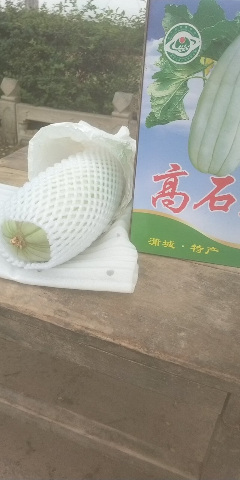 高石瓜如口既化糖度高脆甜欢迎各位