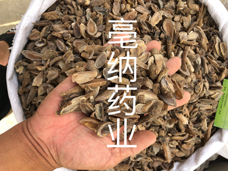 郁金1公斤起批中药材新货郁金好片大货批发