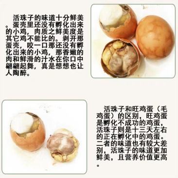 活珠子，毛蛋，实蛋