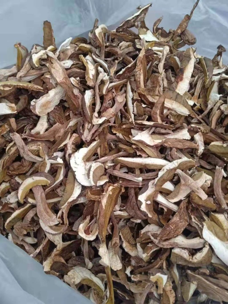 美味牛肝菌鲜品冻品干品批发零售