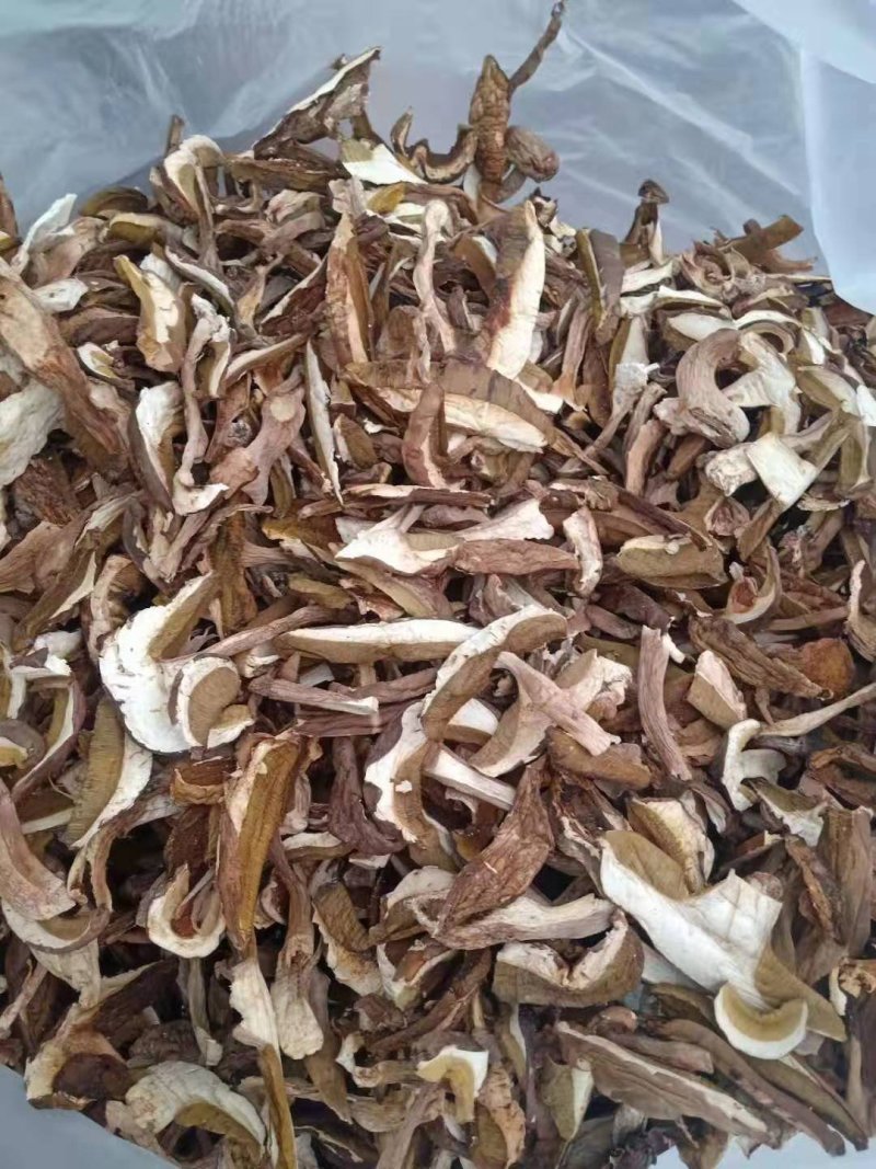 美味牛肝菌鲜品冻品干品批发零售