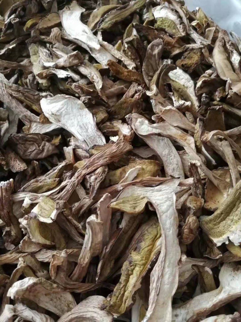美味牛肝菌鲜品冻品干品批发零售