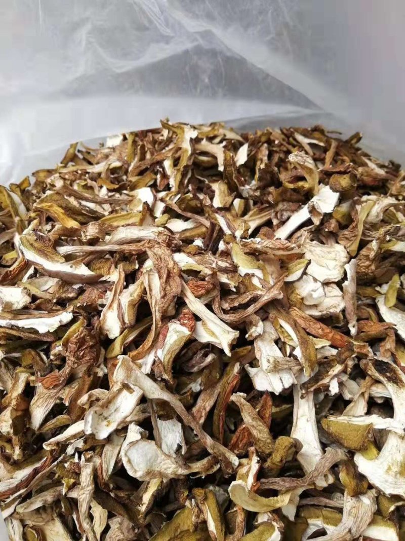 美味牛肝菌鲜品冻品干品批发零售