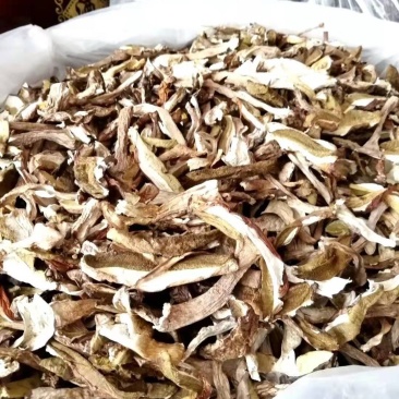 美味牛肝菌鲜品冻品干品批发零售