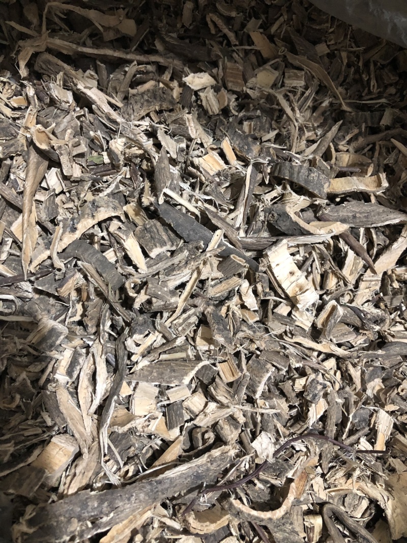 【木槿皮】木槿皮量大从优物美价廉产地直供