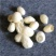 蚕茧去黑头手指蚕茧天然去物质