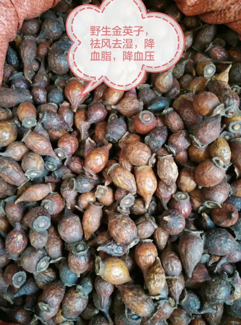 金英子