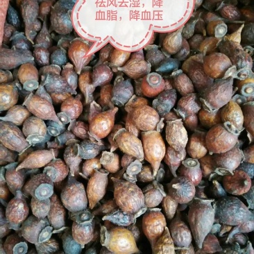 金英子