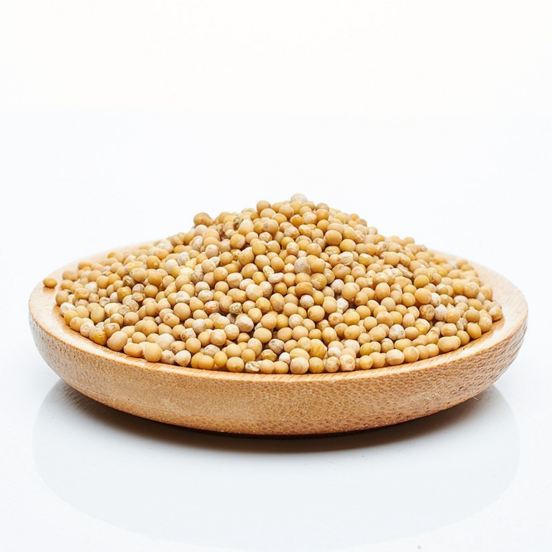 白芥子辣菜子货品多可详聊