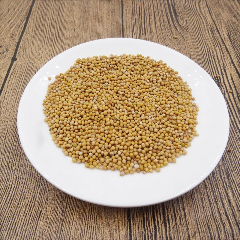 白芥子辣菜子货品多可详聊