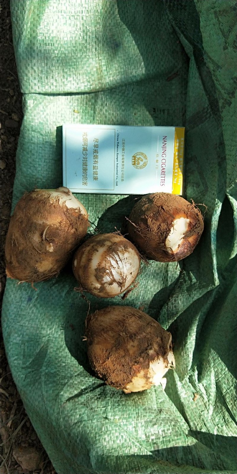 山东省，临沂市，优质毛芋头，豆包，各种毛芋头分，8520