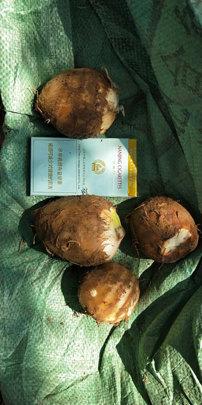 山东省，临沂市，优质毛芋头，豆包，各种毛芋头分，8520